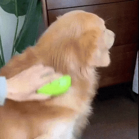 CEPILLO DE VAPOR RECARGABLE PARA MASCOTAS