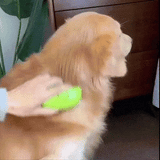 CEPILLO DE VAPOR RECARGABLE PARA MASCOTAS
