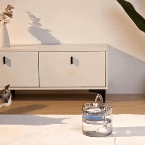 Fuente Automática de Agua para Mascotas