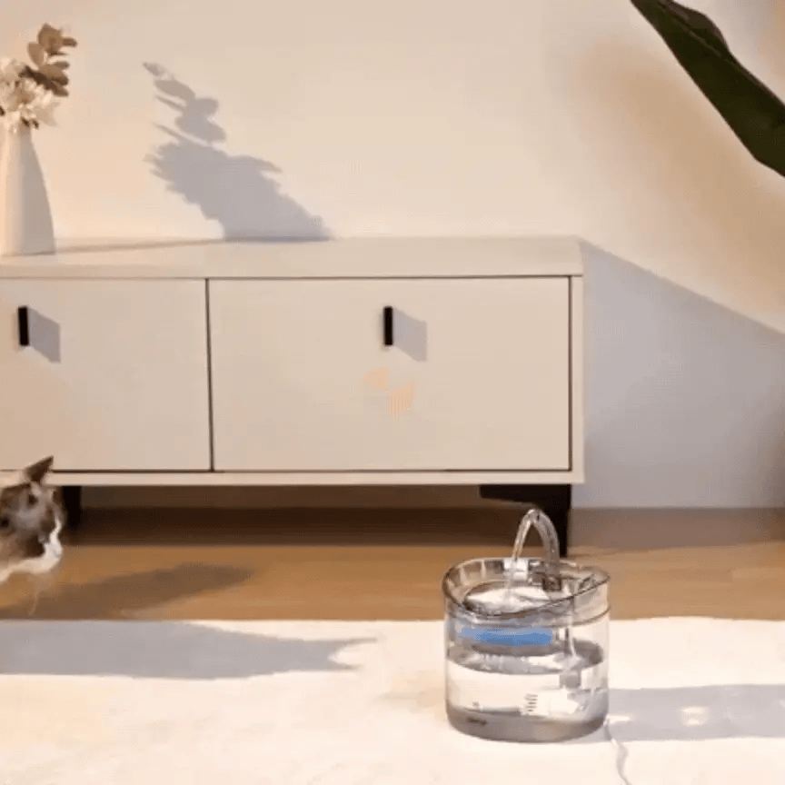 Fuente Automática de Agua para Mascotas