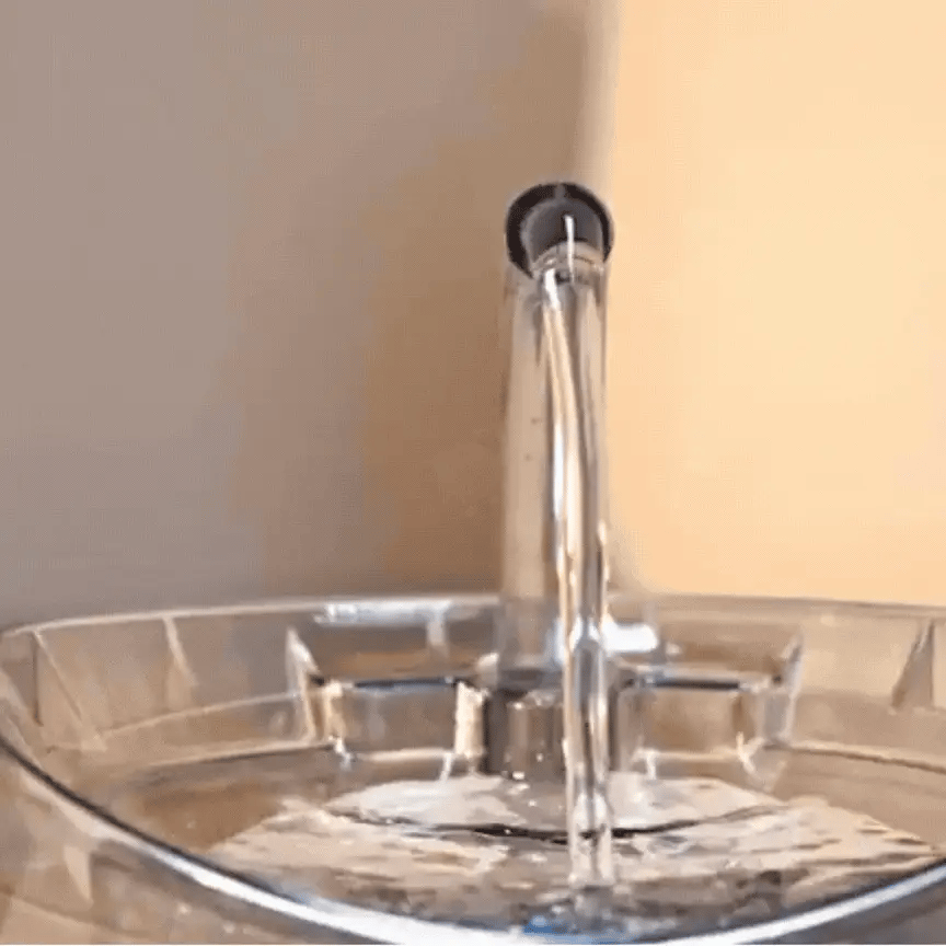 Fuente Automática de Agua para Mascotas