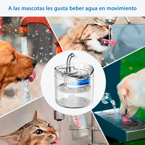 Fuente Automática de Agua para Mascotas