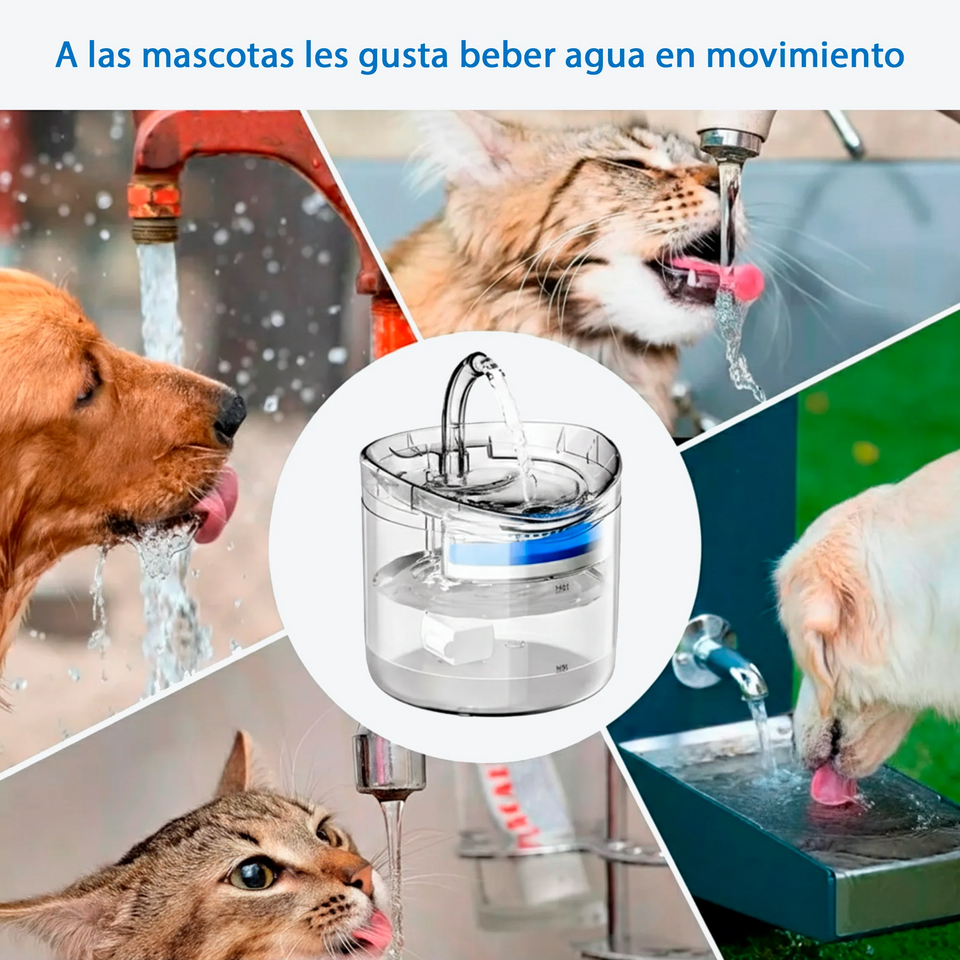 Fuente Automática de Agua para Mascotas
